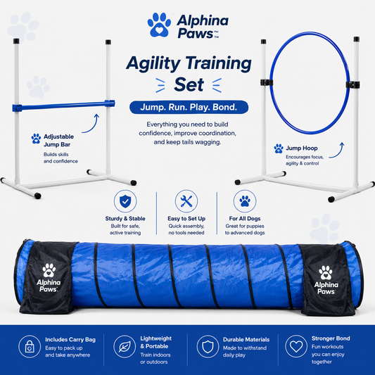 Alphina Paws Agility Training Set